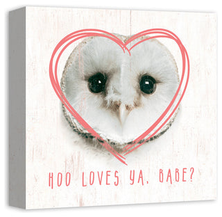 Owl Love 12x12 Canvas Wall Art