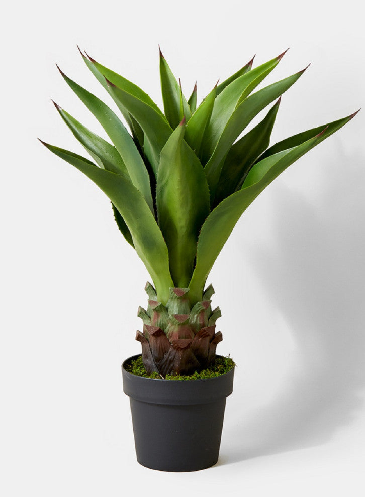 Serene Spaces Living Faux Agave Plant in Black Pot, 29"
