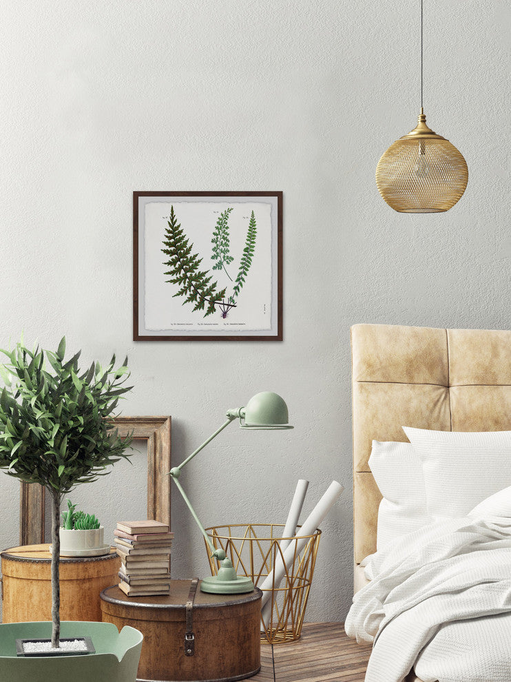 "Indian Ferns" Framed Painting Print, 24"x24"