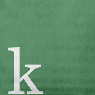 16"x16" Modern Monogram Decorative Throw Pillow, Sage