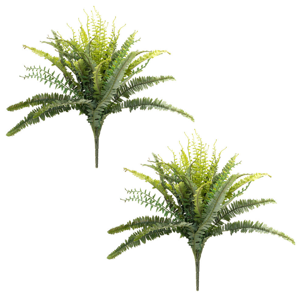 Mixed Fern Bush, 2-Piece Set