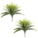 Mixed Fern Bush, 2-Piece Set