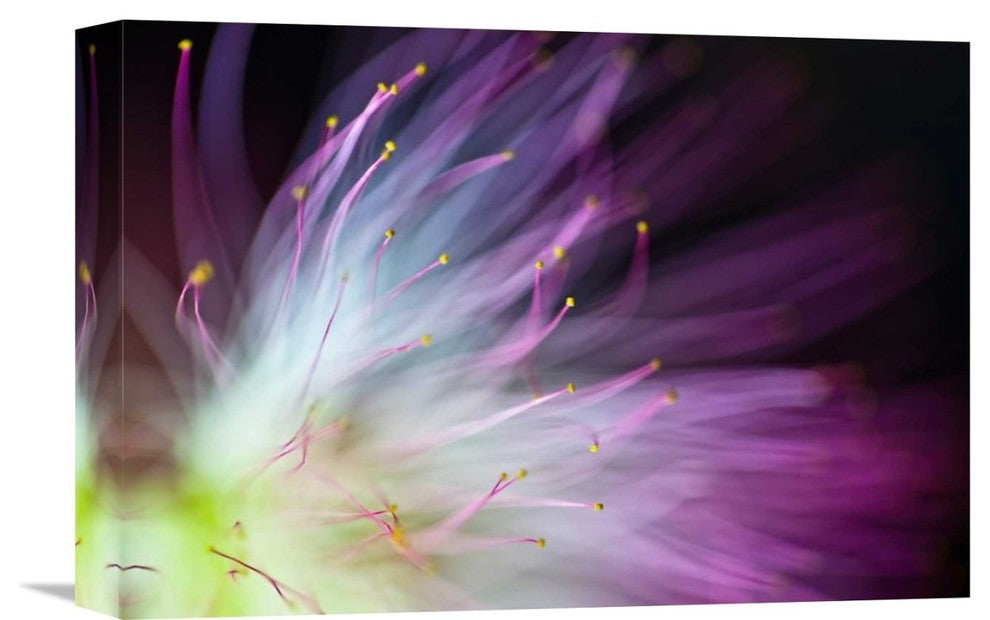 "The Will-O-The-Wisp" Stretched Canvas Giclee by Art Lionse, 16"x11"