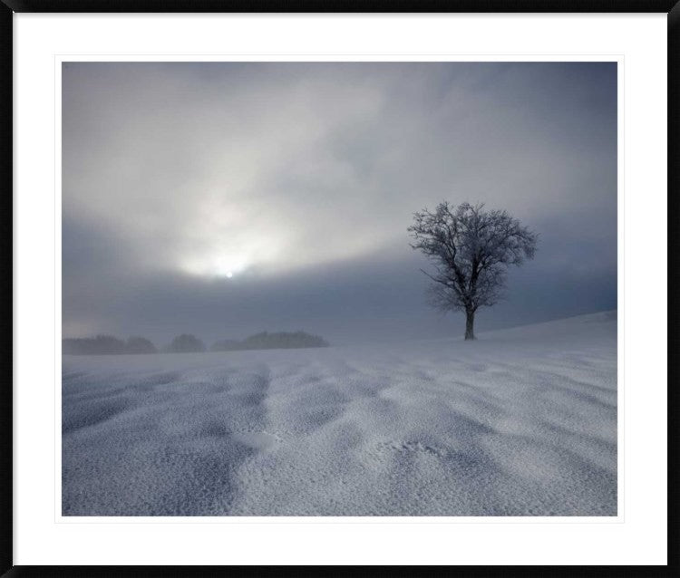 "Winter Impression" Framed Digital Print by Franz Schumacher, 44x37"