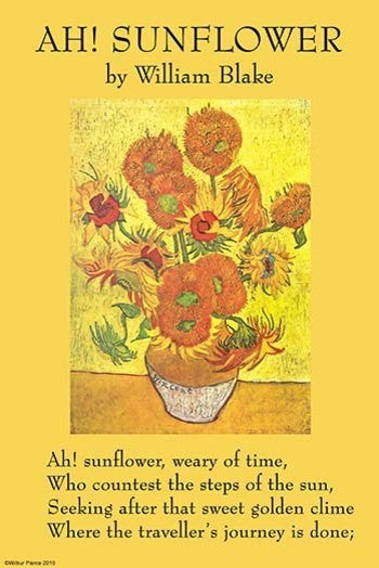 Ah! Sunflower- Canvas Poster 20" x 30"