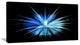 Colorful Blue Fountain of Crystals, Floral Canvas Art Print, 40x20