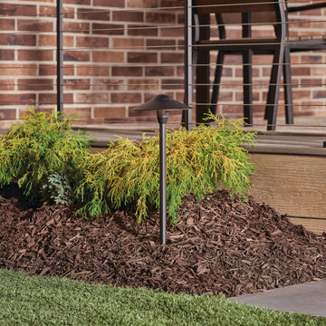 Textured Black Path and Spread 1-Light 12V