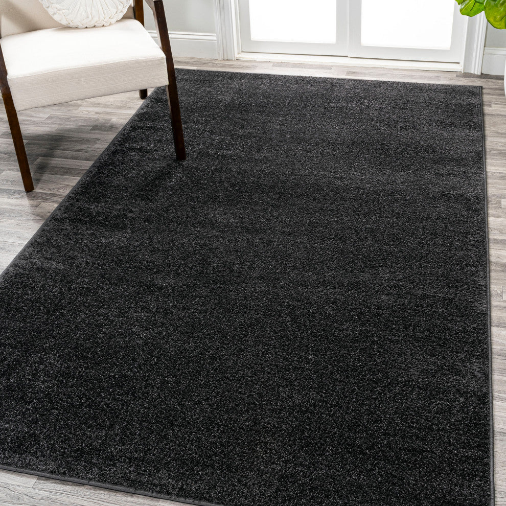 Haze Solid Low-Pile Black 12 ft. x 15 ft. Area Rug