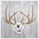 "Antlers and Poppies II Sq" Digital Paper Print by Elyse DeNeige, 20"x20"