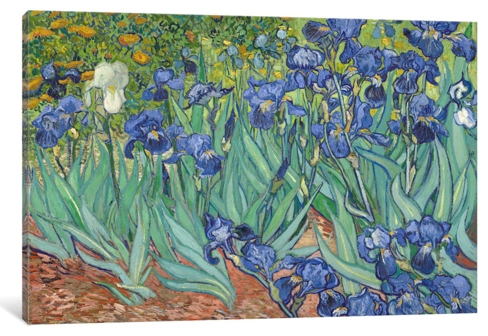 Irises, 1889  by Vincent van Gogh