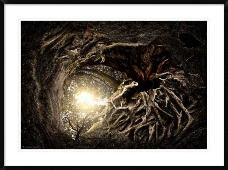 "Under The Trees #1" Framed Digital Print by Matthias Bergolth, 44x32"
