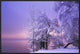 "Stillness" Framed Canvas Giclee by Norbert Maier, 31x21"