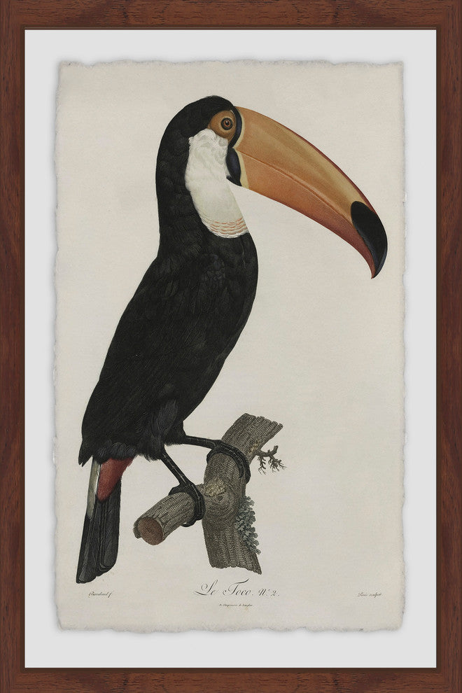 "Quiet Toucan" Framed Painting Print, 16"x24"