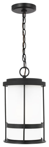 Wilburn 1-Light Outdoor Pendant Lantern, Black