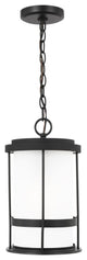 Wilburn 1-Light Outdoor Pendant Lantern, Black