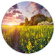 Fantastic Yellow Field At Sunset, Landscape Art Round Wall Art, 11"