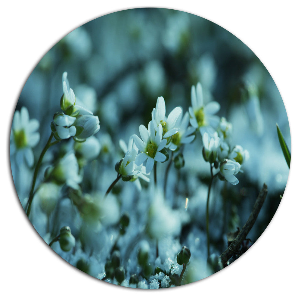 Small White Flowers On Blue Background, Flower Round Wall Art, 11"