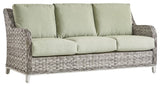 Turtle Beach Sofa With Cushion