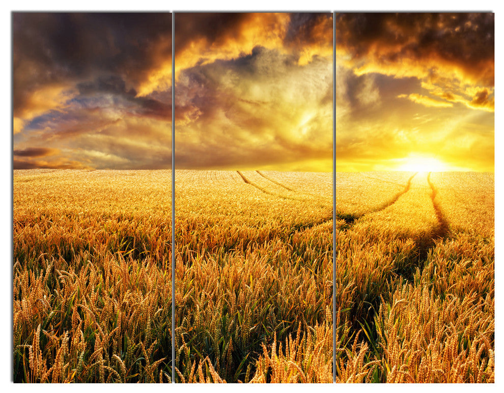 Amazing Sunset over Yellow Field, Landscape Triptych Canvas Art, 36x28, 3 Panels