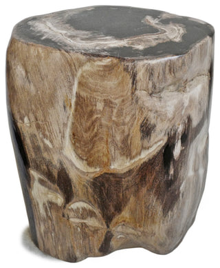 Petrified Stump Stool