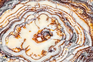 "Wild Rings" Painting Print on Canvas