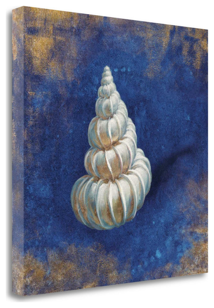 35" Rustic Deep Blue and Gold Shell Giclee Wrap Canvas Wall Art