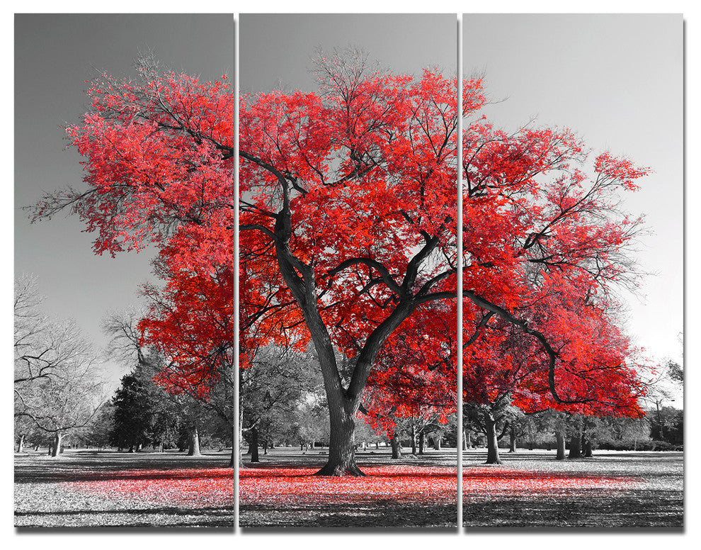 Big Red Tree on Foggy Day, Landscape Triptych Canvas Art Print, 36x28, 3 Panels