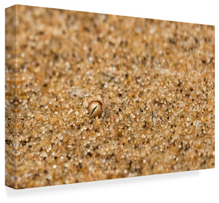 Ira Aschermair 'I See You Snake' Canvas Art, 47"x30"