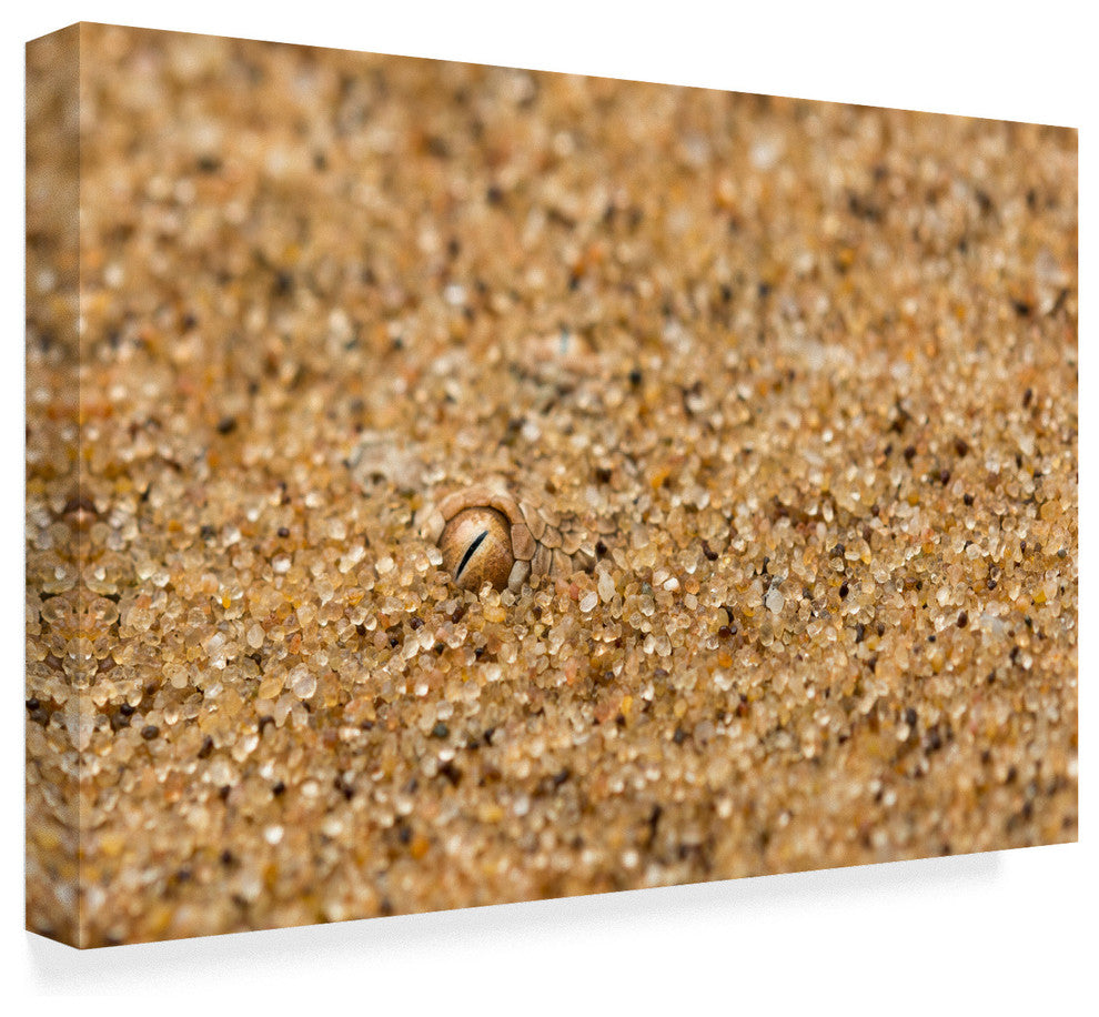 Ira Aschermair 'I See You Snake' Canvas Art, 47"x30"