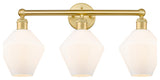 Cindyrella 3-Light 26" Bath Vanity Light, Satin Gold -Cased Matte White Shade