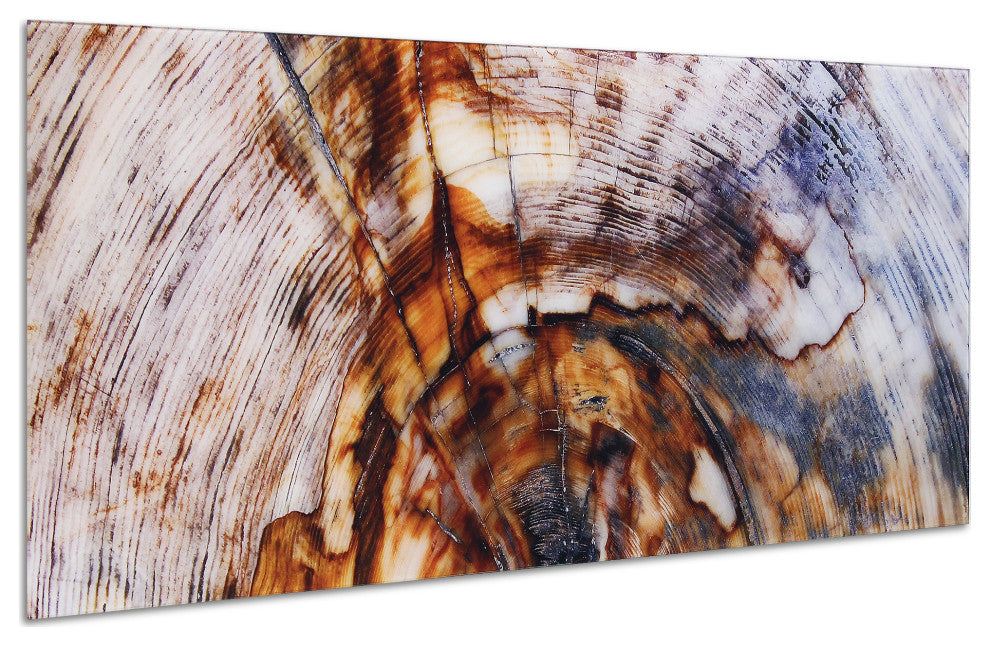 "Impact" Abstract Wall Art Frameless Free Floating Tempered Glass Print Set of 2