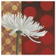 "Morning Chrysanthemum I" Digital Paper Print by Kathrine Lovell, 20"x20"