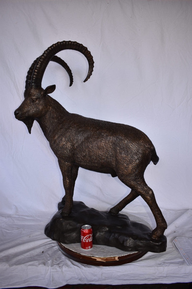 Standing Lifesize Mountain Goat Bronze Statue Size: 22"L x 36"W x 48"H.