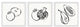 Fresh Fruits Sensation Triptych, Set of 3, 24x24 Panels