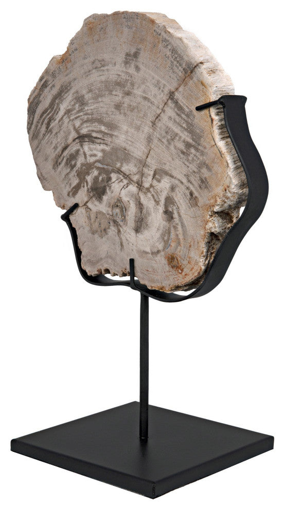 Wood Fossil with Stand, 8"