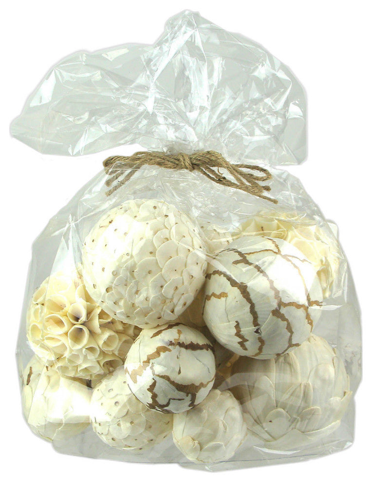 18 Piece Natural White and Brown Exotic Dried Organic Decor Balls