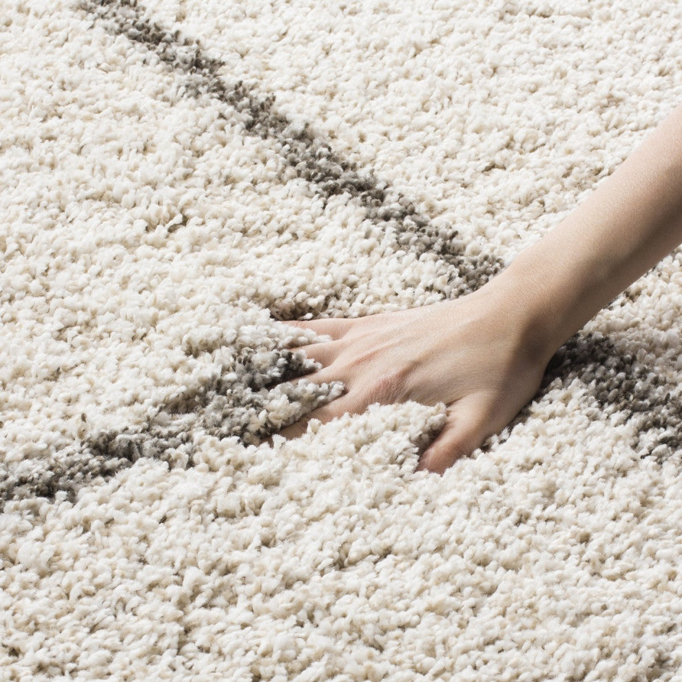 Safavieh  Hudson Shag Collection SGH281 Rug