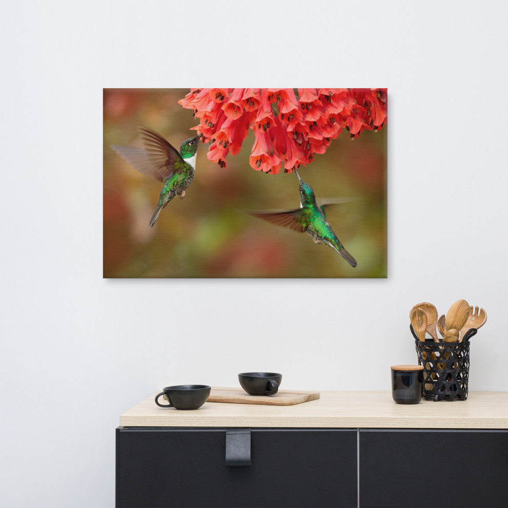 Hummingbirds Reddish-Orange Flowers Animal Wildlife Photo Canvas Wall Art Print, 24" X 36"
