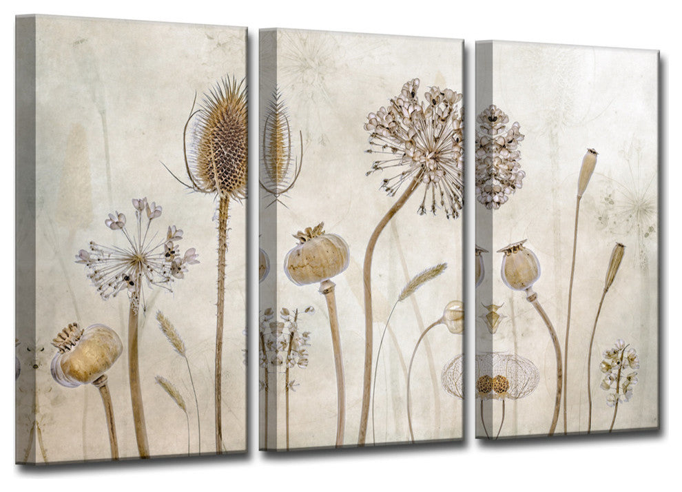 Ready2HangArt 'Growing Old' 3-Piece Canvas Wall Decor Set, 36"x24"