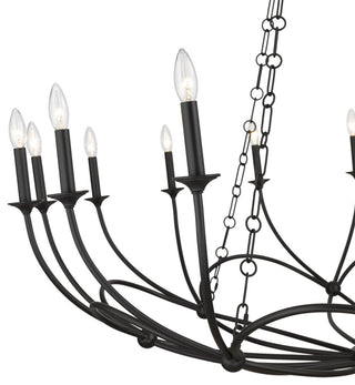 Z-Lite 3500-16 Arabella 16 Light 55"W Candle Style Chandelier - Matte Black