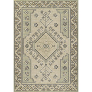 Momeni Anatolia ANA11 Rug, Sage, 6'6"x9'