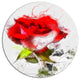 Hand-Drawn Watercolor Rose Flower, Floral Round Wall Art, 36"