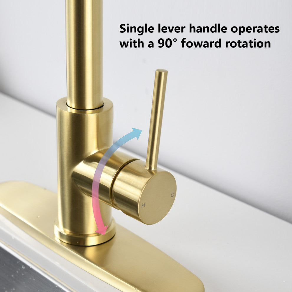 Givingtree Pull Down Kitchen Faucet with Sprayer Brushed Gold
