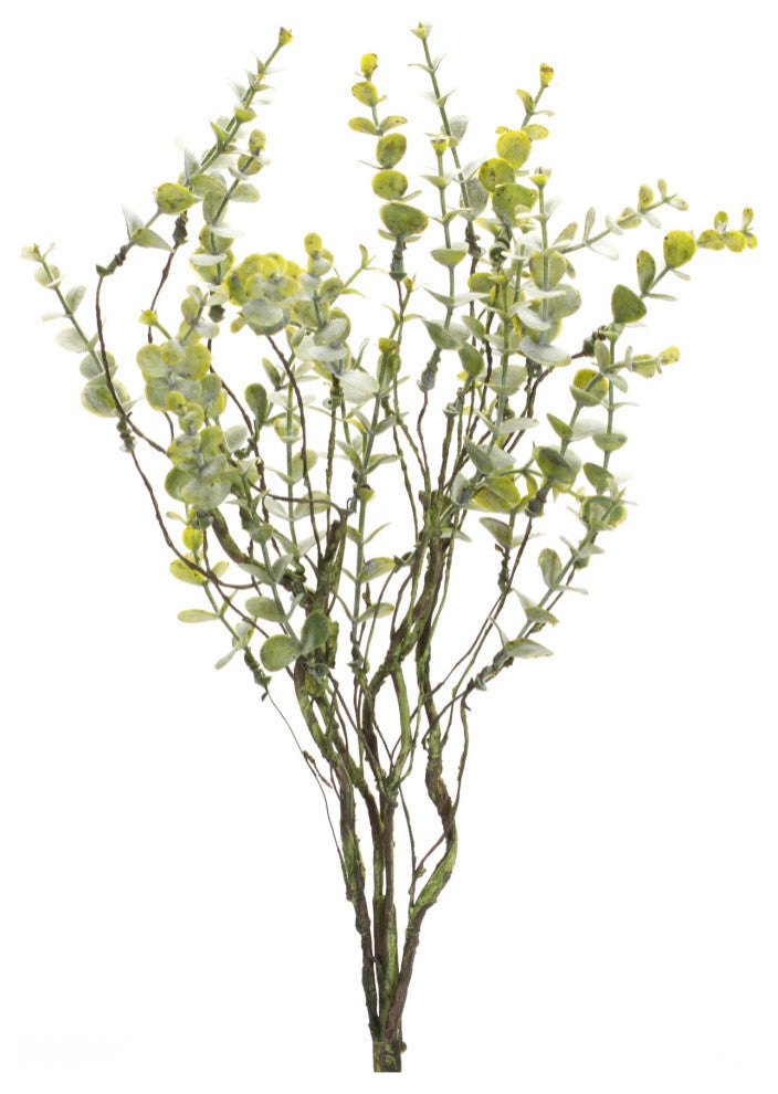 Boxwood Spray, Set of 6