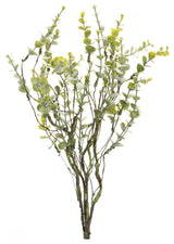 Boxwood Spray, Set of 6