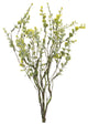 Boxwood Spray, Set of 6