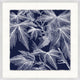 Transitional Leaf Composition On Navy 3, Giclee Reproduction Artwork