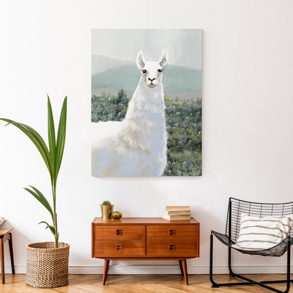 White Llama, Pasture 30"x40" Canvas Wall Art