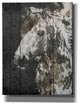 Epic Graffiti ''SPIRIT EYE Horse'' by Irena Orlov, Giclee Canvas Wall Art, 26"x34"
