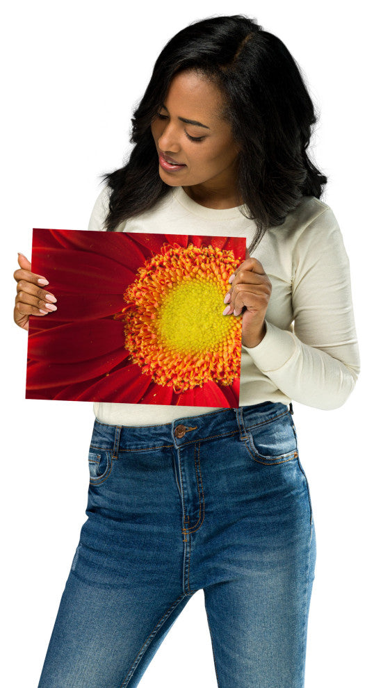 Nature's Beauty Nature Photography, Floral Unframed Wall Art Print, 8" X 10"
